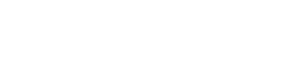 handz logo 1